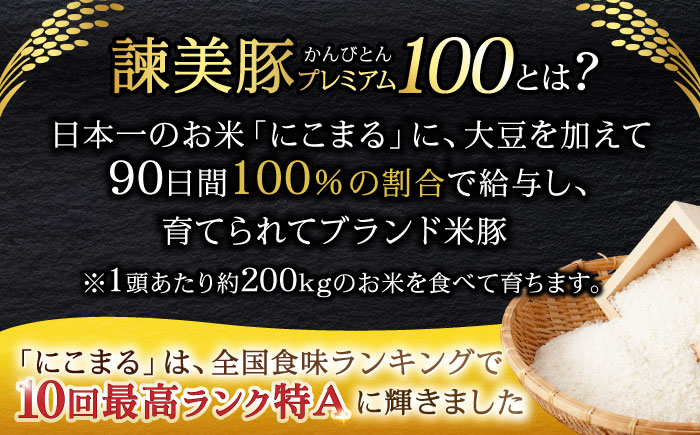 諫美豚プレミアム100 ヒレ肉 （カツのみ）400g / 豚肉 肉 ヒレ 黒豚 とんかつ トンカツ/ 諫早市 / 株式会社土井農場 [AHAD079]