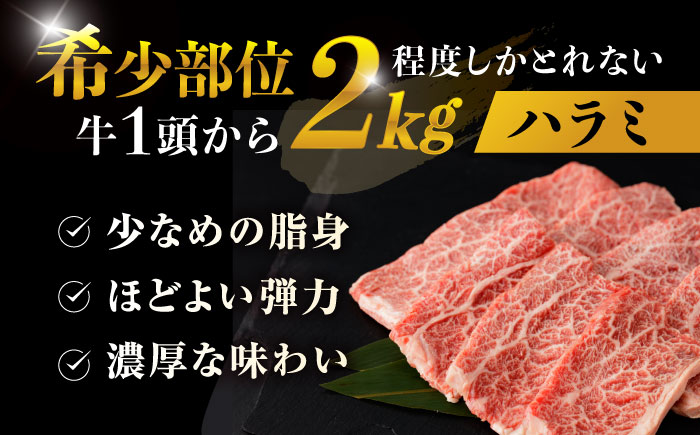 【味付き】 【柔らかさとコクの融合！】長崎和牛  A5 ハラミ 300g / 国産 牛肉 和牛 焼肉 はらみ / 諫早市 / 野中精肉店 [AHCW116]