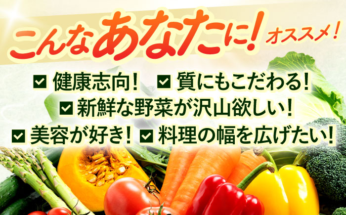 【6回定期便】野菜等詰め合わせプレミアムセット(7〜10品目) / 野菜 果物 フルーツ くだもの きのこ しそ / 諫早市 / 松尾農園 [AHAY021]