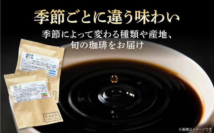 自家焙煎スペシャリティコーヒー ドリップパックセット(21パック) / 諫早市 /R and R coffee labo [AHCJ050]