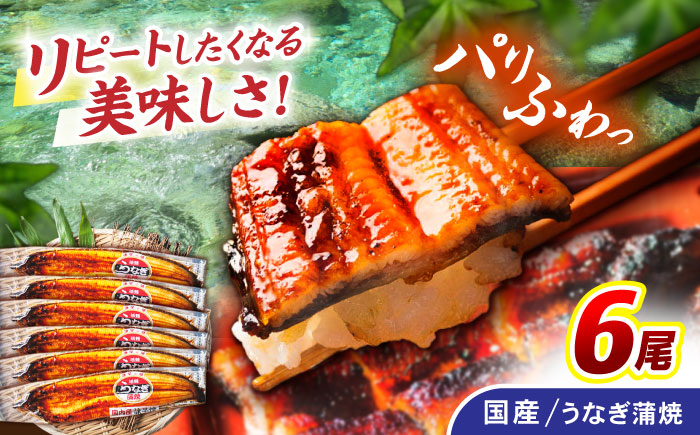 ＜諫早淡水＞うなぎ蒲焼 6尾 / うなぎ ウナギ 鰻 蒲焼き 蒲焼 国産 冷凍 小分け うな重 うな丼 ひつまぶし / 諫早市 / 諫早淡水株式会社 [AHAT008]
