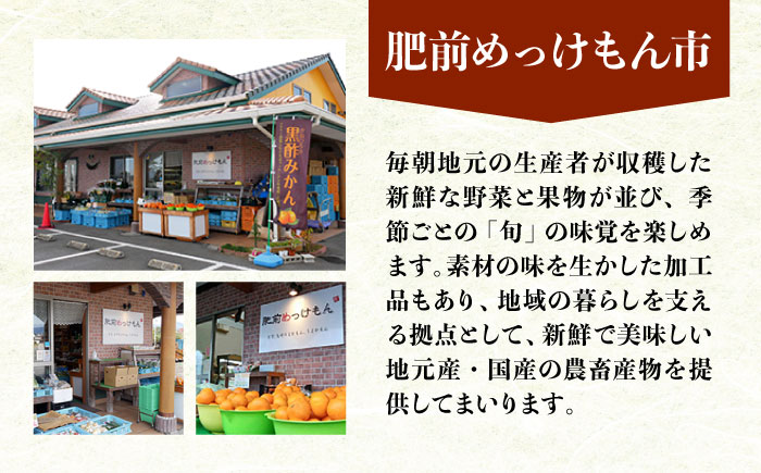 【3回定期便】諫早産野菜の詰め合わせ(8〜9品目程度) / 季節 旬 野菜 春野菜 夏野菜 秋野菜  / 諫早市 / 肥前グローカル株式会社 [AHDI001]