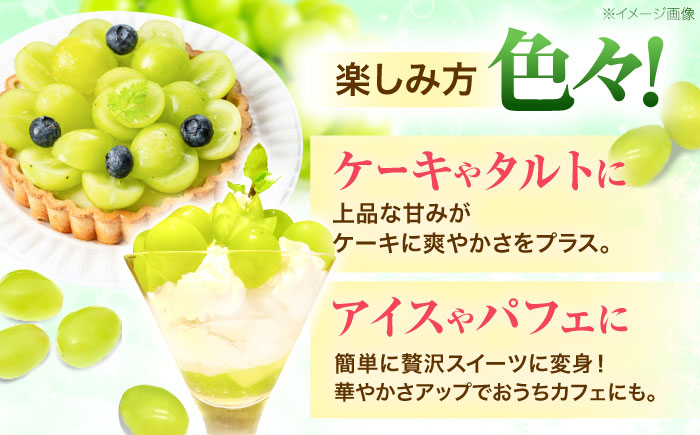 ※【2026年9月より順次発送／先行予約】【ご家庭用】シャインマスカット 約1.3kg(2〜3房) / フルーツ 果物 ぶどう マスカット しゃいんますかっと / 諫早市 / 肥前グローカル株式会社 [AHDI007]