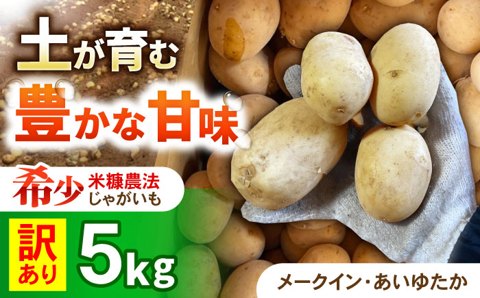 訳ありジャガイモ(品種ミックス)　5kg / 諫早市 / 未来ファーム [AHEY006]