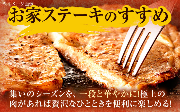 【3回定期便】長崎和牛 サーロインステーキ 600g（200g×3枚）/ 牛肉 ぎゅうにく 肉 和牛 国産牛 サーロイン ステーキ すてーき?/ 諫早市 / 西日本フード株式会社 [AHAV037]