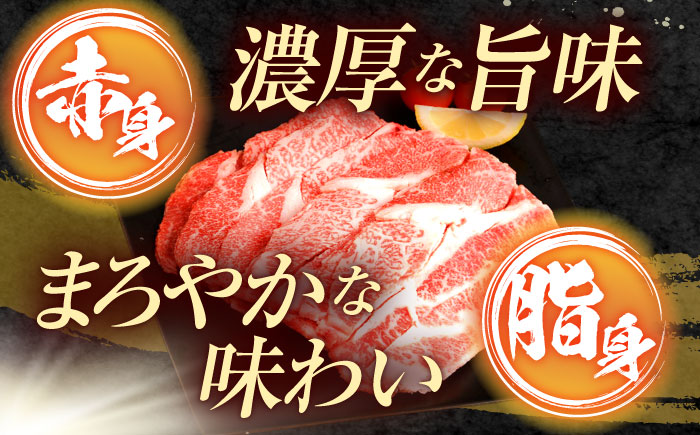 【12回定期便】 長崎和牛 切り落とし 800g（400g×2）肩ロース・モモ・カタ・バラ使用 / 牛肉 ぎゅうにく 肉 和牛 国産牛 切落し?/ 諫早市 / 西日本フード株式会社 [AHAV024]