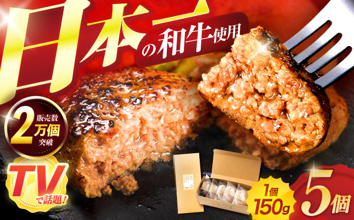 ながさきふわとろハンバーグ 150g×5個入 / ハンバーグ はんばーぐ 肉 牛肉 豚肉 おかず 惣菜 / 諌早市 / ワールド・ミート有限会社 [AHBG005]