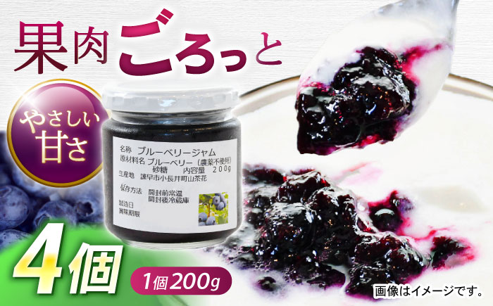 【年内配送】(12/23入金分まで)果肉ごろごろ手作りブルーベリージャム 200g×4個 / ジャム ブルーベリージャム ブルーベリー ベリー / 諫早市 / 横林ブルーベリー園 [AHCS001]