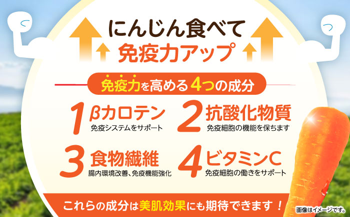 【甘さと栄養を100%凝縮！】真っ赤な人参 「紅天神」 キャロットジュース 180ml×8本 / にんじん ニンジン 人参 キャロット きゃろっと ジュース　じゅーす きゃろっとじゅーす / 諫早市 / 滝商店株式会社 [AHCU004]