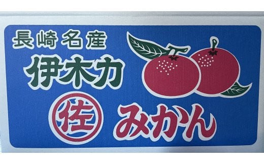 伊木力佐瀬みかん 10kg（混合サイズ：S〜L）/ みかん ミカン 蜜柑 フルーツ 果物 / 諫早市 / 山田果樹園 [AHAJ002]