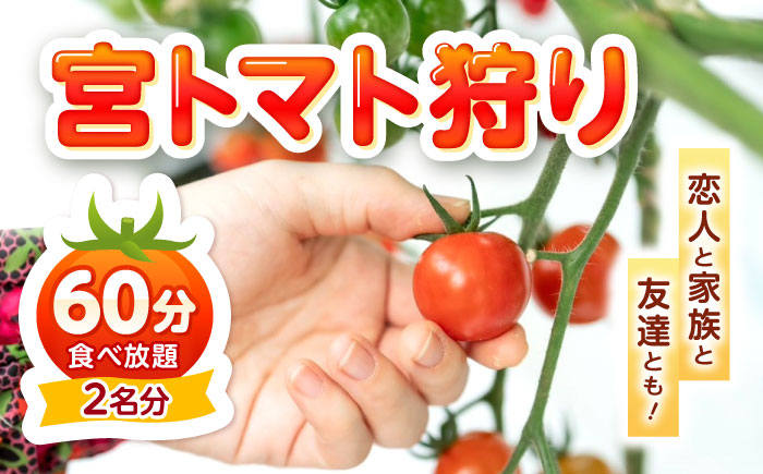 宮下農園の宮トマト狩り 2名分（60分食べ放題）/ ミニトマト ミニとまと とまと狩り トマト とまと プチトマト 体験プラン 収穫体験 家族 子連れ イベント ファミリー 収穫 カップル / 諫早市 / 宮下農園 [AHCG035]