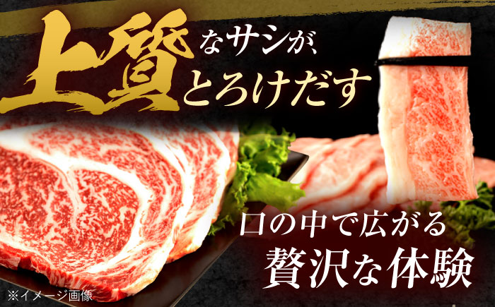 長崎和牛 ステーキ・焼肉セット 600g×2パック / 牛肉 ぎゅうにく 肉 和牛 国産牛 焼き肉 やきにく ステーキ すてーき / 諫早市 / 西日本フード株式会社 [AHAV008]