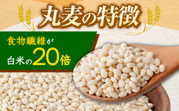 もち麦よりも『ぷりっ』とした弾力 長崎県産 丸麦 10kg / 麦 むぎ 雑穀 雑穀米 麦ごはん 10kg 麦飯 麦みそ 食物繊維 長崎県産 米 こめ コメ ※ / 諫早市 / 有限会社伊東精麦 [AHBU005]
