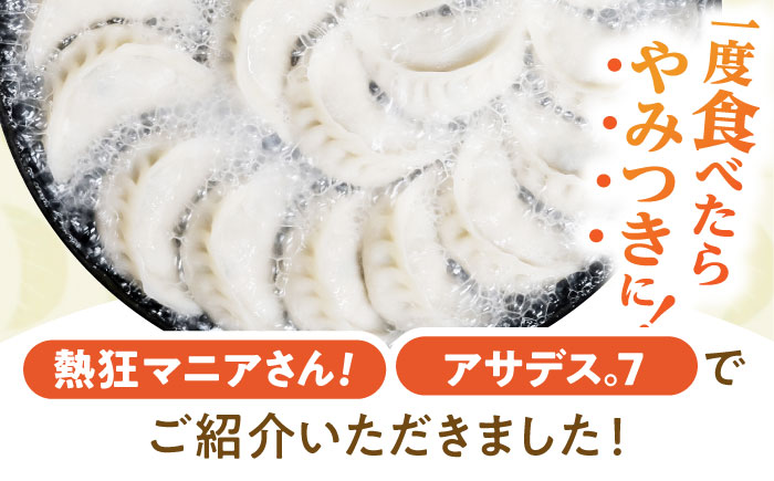 餃子 6種おまかせ便 / ギョウザ ぎょうざ 餃子 焼餃子 水餃子 冷凍 / 諫早市 / 餃子のかわしも [AHBM005]