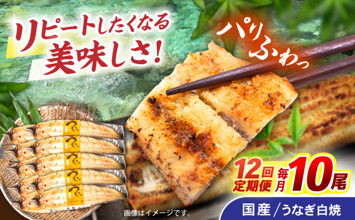 【12回定期便】【諫早淡水】うなぎ白焼き10尾  / うなぎ 白焼き 栄養価 小分け 冷凍 / 諫早市 / 諫早淡水 [AHAT044]