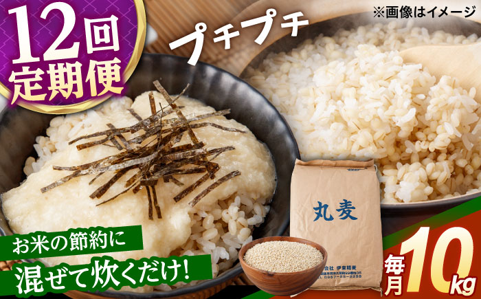 【12回定期便】長崎県産 丸麦 10kg / 麦 むぎ 雑穀 雑穀米 麦ごはん 麦飯 麦みそ 食物繊維 長崎県産 米 こめ コメ ※ / 諫早市 / 有限会社伊東精麦 [AHBU008]
