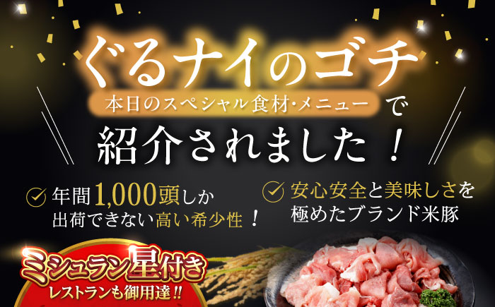 【6回定期便】＜特Aのブランド米で育てた＞諫美豚切り落とし 2.1kg / 諫美豚 豚肉 切り落とし 肉 豚 お肉 国産 人気 スライス / 諫早市 / 株式会社土井農場 [AHAD016]