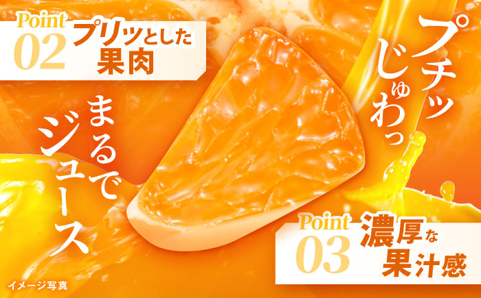 【食べる濃厚ジュース】佐瀬みかん 10kg / みかん ミカン 蜜柑 オレンジ 柑橘 フルーツ ふるーつ 果物 くだもの みかんジュース 甘い / 諫早市 / 一正 [AHFL002]