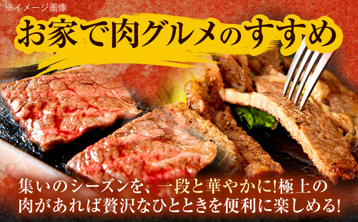 長崎和牛 ステーキ・焼肉セット 600g×2パック / 牛肉 ぎゅうにく 肉 和牛 国産牛 焼き肉 やきにく ステーキ すてーき / 諫早市 / 西日本フード株式会社 [AHAV008]