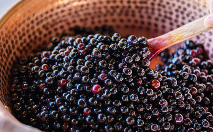 ブルーベリージャム 4本セット / ブルーベリー ジャム パン フルーツ / 諫早市 / のんびり山 [AHBA002]