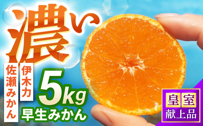 早生みかん　5kg / 諫早市 /伊佐農園 [AHFI011]