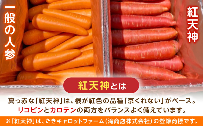 【甘みと栄養たっぷり！】 真っ赤な人参 「紅天神」 10kg / にんじん ニンジン 人参 やさい 野菜 / 諫早市 / 滝商店株式会社 [AHCU002]