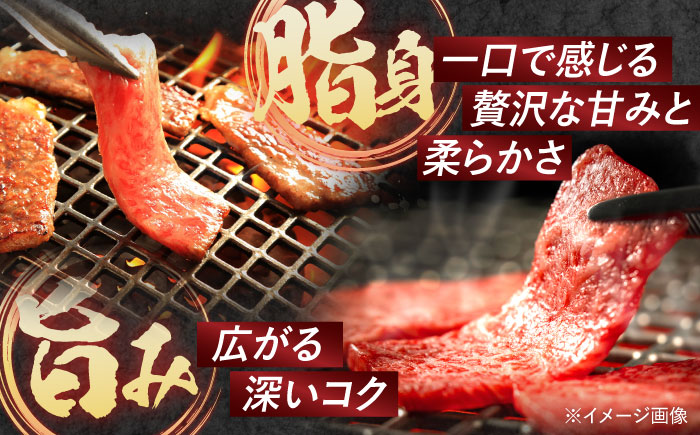 【2回定期便】A5ランク 特選ロース 極厚 焼肉用 700g入(タレ付き) / 長崎和牛 焼肉 焼き肉 牛肉 タレ タレ付 ロース / 諫早市 / 焼肉おがわ [AHCD017]