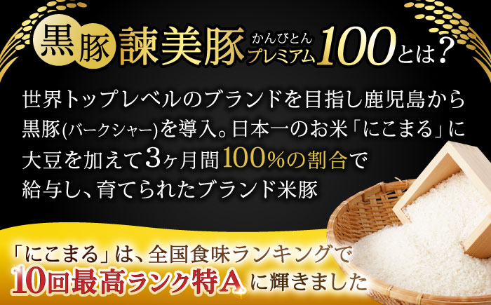 黒豚諫美豚プレミアム100おすすめセット1.2kg / 諫美豚 豚肉 肩ロース ステーキ モモ 切り落とし ハンバーグ ロースステーキ / 諫早市 / 株式会社土井農場 [AHAD047]