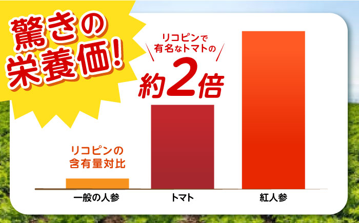 ※【2026年1月より順次発送／先行予約】【訳あり】【甘みと栄養たっぷり！】真っ赤な人参 「紅天神」 10kg / にんじん ニンジン 人参 やさい 野菜 訳あり 訳アリ わけあり ワケアリ / 諫早市 / 滝商店株式会社 [AHCU006]