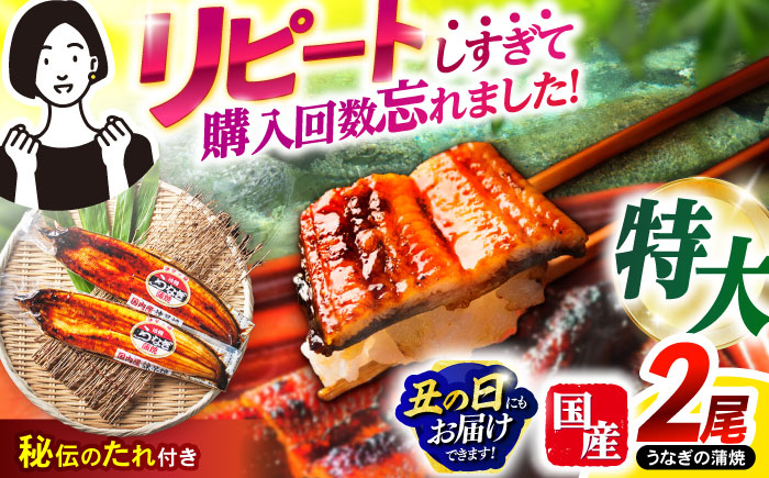 ＜諫早淡水＞特大うなぎ蒲焼 2尾 / うなぎ ウナギ 鰻 特大 蒲焼き ウナギ蒲焼 国産 冷凍 うな重 うな丼 ウナギ ひつまぶし / 諫早市 / 諫早淡水株式会社 [AHAT014] 丑の日 土用丑の日