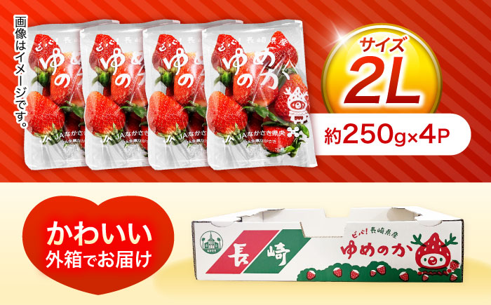 【贈答用でも使える】長崎いちご「ゆめのか」2Lサイズ 約250g×4パック 合計1000g /イチゴ フルーツ デザート ジューシー ギフト 贈り物/諫早市/長崎県央共同組合Aコープ [AHAA033]