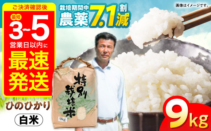 【年内配送】(12/23入金分まで)【R7年新米】九州のこだわり「ひのひかり」白米 9kg / 米 おこめ お米 白米 ひのひかり / 諫早市 / 上島農産 [AHAS003] 新米 しんまい