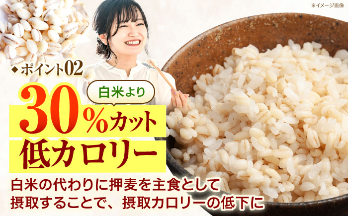【3回定期便】押麦「長崎御島」1kg×10袋 計10kg / 麦 むぎ 押麦 はだか麦 麦味噌 雑穀 雑穀米 食物繊維 小分け 長崎県産 米 こめ コメ ※ / 諫早市 / 有限会社伊東精麦 [AHBU010]