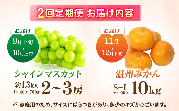 【2回定期便】※【2026年シーズン発送／先行予約】フルーツ定期便(シャインマスカット 約1.3kg(2～3房) / 温州みかん(10kg) 家庭用 / フルーツ定期便 果物定期便 シャインマスカット みかん / 諫早市 / 肥前グローカル株式会社 [AHDI012]