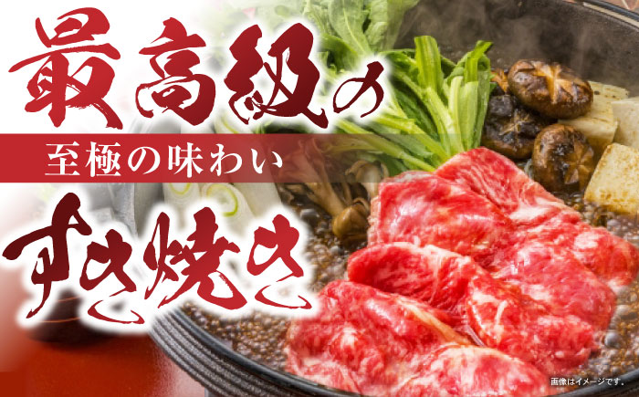 長崎和牛肩ローススライス300g / 長崎県産 長崎和牛 牛肉 和牛 牛 肩ロース / 諫早市 / 有限会社長崎フードサービス [AHDD002] 