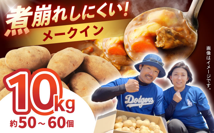 じゃがいも メークイン 10kg (S～2Lサイズ/約50～60個) / じゃがいも ジャガイモ ポテト 九州 メークイン メイクイーン 野菜 やさい / 諫早市 / スマイルファーム　 [AHFG004]