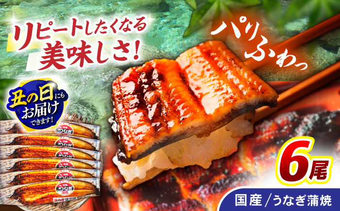 ＜諫早淡水＞うなぎ蒲焼 6尾 / うなぎ ウナギ 鰻 蒲焼き 蒲焼 国産 冷凍 小分け うな重 うな丼 ひつまぶし / 諫早市 / 諫早淡水株式会社 [AHAT008] 丑の日 土用丑の日