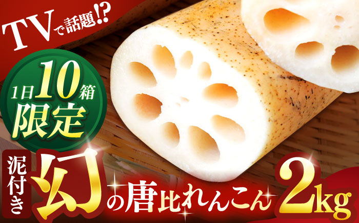 幻の唐比れんこん 2kg / れんこん レンコン 蓮根 野菜 やさい / 諫早市 / 農事組合法人スマイル・ライフ [AHCA002]