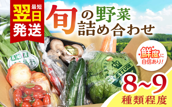 諫早産野菜の詰め合わせ(8〜9品目程度) / 季節 旬 野菜 春野菜 夏野菜 秋野菜  / 諫早市 / 肥前グローカル株式会社 [AHDI004]