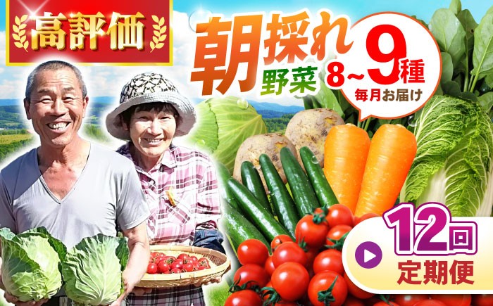 【12回定期便】諫早産 野菜の詰め合わせ 8〜9品目程度 / 季節 旬 野菜 春野菜 夏野菜 秋野菜 / 諫早市 / 肥前グローカル株式会社 [AHDI003]