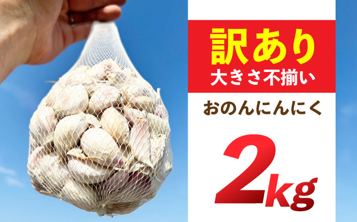 【訳あり】　【毎年1万箱売れてます】　『おのんにんにく』2kg　/　にんにく　ニンニク　料理　滋養　/　諫早市　/　株式会社ファーム中島 [AHDL004]