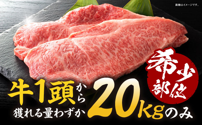 【最速発送】長崎和牛サーロイン250g×4パック / 長崎県産 長崎和牛 黒毛和牛 牛肉 和牛 牛 サーロイン / 諫早市 / 有限会社長崎フードサービス [AHDD005] スピード 最短 最速 発送