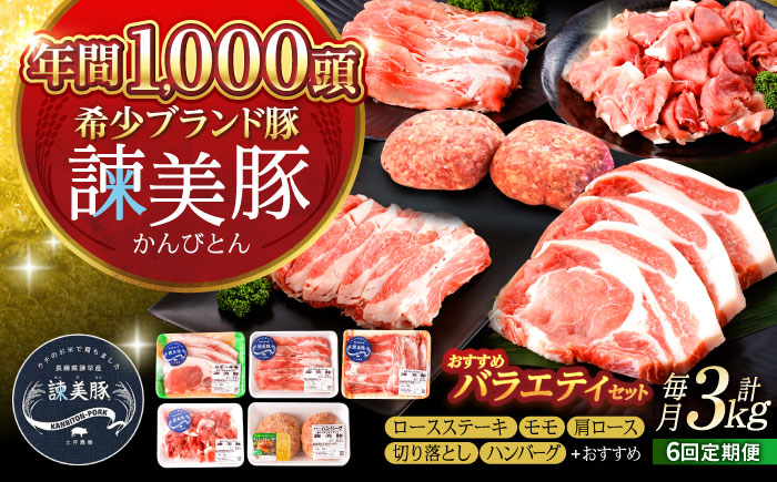 【6回定期便】諫美豚おすすめバラエティセット3kg / 諫美豚 豚肉 肩ロース ステーキ モモ 切り落とし ハンバーグ ロースステーキ / 諫早市 / 株式会社土井農場 [AHAD005]