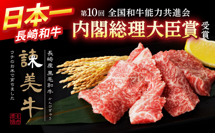 【特Aのブランド米で育てた】諫美牛 上カルビ 500g(250g×2) / 牛肉 ぎゅうにく 和牛 肉 焼肉 やきにく 国産 カルビ かるび / 諫早市 / 株式会社土井農場 [AHAD101]
