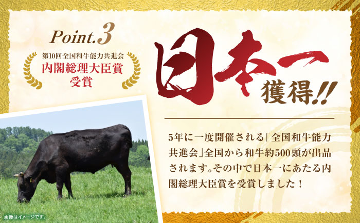 【6回定期便】長崎和牛ハンバーグ150g×10パック　/　ハンバーグ　はんばーぐ　牛肉100％　国産　冷凍　/　諫早市　/　有限会社長崎フードサービス [AHDD016]