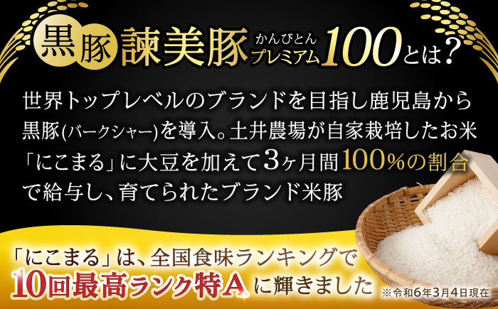 【3回定期便】黒豚諫美豚プレミアム100 バラ肉 しゃぶしゃぶ用 500g(250g×2P) / 豚肉 ぶたにく バラ ばら 豚バラ シャブシャブ しゃぶしゃぶ / 諫早市 / 株式会社土井農場 [AHAD114]