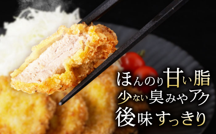 諫美豚 ヒレ肉 （カツのみ）600g / 豚肉 肉 ヒレ とんかつ トンカツ / 諫早市 / 株式会社土井農場 [AHAD080]