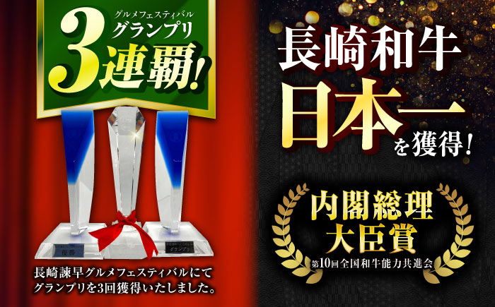 「11/30までの申込で年内にお届け！」極上 ヒレ ステーキ 300g（150g×2枚） / ヒレステーキ 長崎和牛 A4〜A5ランク 希少部位 / 諫早市 / 野中精肉店 [AHCW004]