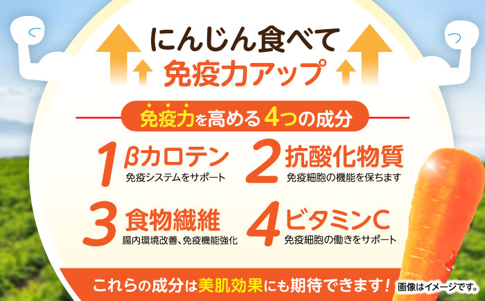 【訳あり】滝さんの人参10kg / にんじん ニンジン 人参 キャロット きゃろっと やさい 野菜 訳あり 訳アリ わけあり ワケアリ / 諫早市 / 滝商店株式会社 [AHCU005]