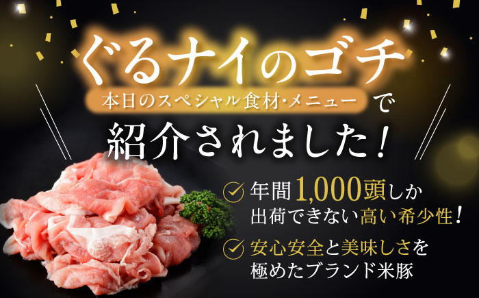 黒豚諫美豚プレミアム100 切り落とし 計1.2kg（300g×4P）/ 豚 豚肉 黒豚 切り落とし 小分け / 諫早市 / 株式会社土井農場 [AHAD046]